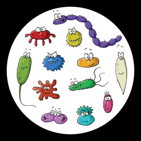 Hyönteiset, mikroskooppi, liman, virus Dedmazay - Dreamstime