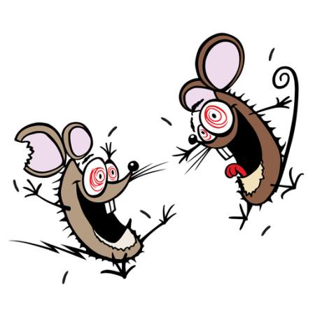 hiiri, hiiriä, hullu, onnellinen, kaksi Donald Purcell - Dreamstime