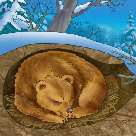 karhu, talvi, uni, kylmä, luonto Alexander Kukushkin - Dreamstime
