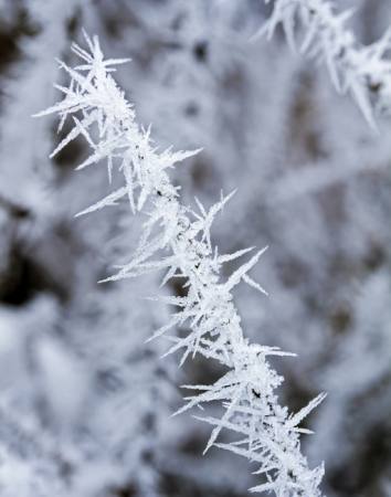huurre, jää, talvi, piikki Haraldmuc - Dreamstime