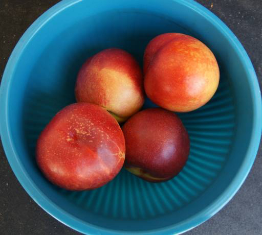 hedelmät, kulho, sininen, syödä, persikat Westhimal