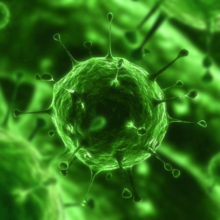bakteerit, virukset, hyönteinen, sairaus, solu Sebastian Kaulitzki - Dreamstime