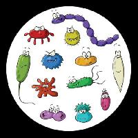 Hyönteiset, mikroskooppi, liman, virus Dedmazay - Dreamstime