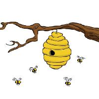haara, mehiläinen, pesää, keltainen Dedmazay - Dreamstime