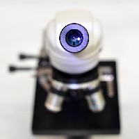 kamera, objektiivi, mikroskooppi catiamadio
