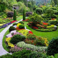 Pixwords Kuva puutarha, kukkia, värejä, vihreä Photo168 - Dreamstime