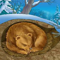 Pixwords Kuva karhu, talvi, uni, kylmä, luonto Alexander Kukushkin - Dreamstime