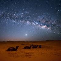 Pixwords Kuva taivas, yö, , autiomaa, kamelit, tähdet, kuu Valentin Armianu (Asterixvs)