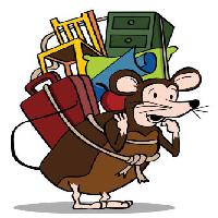rotta, matkailu, selkä, tuoli, salkku, vaatekaappi, hiiri, huonekalut John Takai - Dreamstime