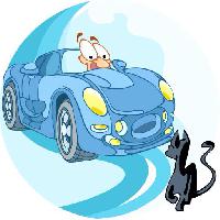 Pixwords Kuva auto, ajaa, kissa, eläin Verzhh