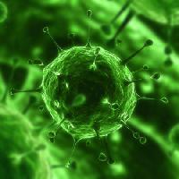 Pixwords Kuva bakteerit, virukset, hyönteinen, sairaus, solu Sebastian Kaulitzki - Dreamstime